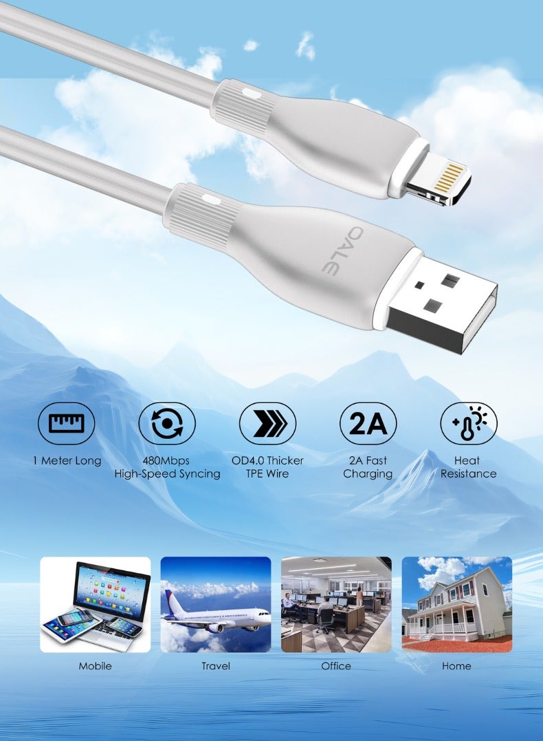 OALE iCable Lightning to USB Charging Cable – 2A