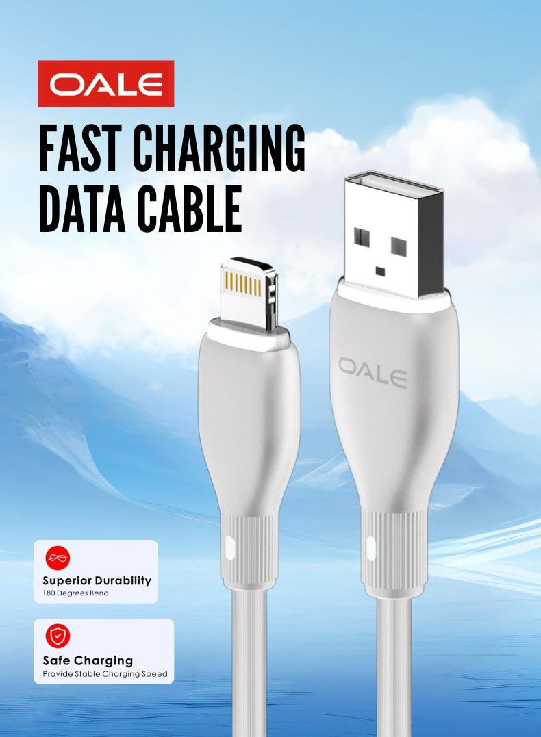 OALE iCable Lightning to USB Charging Cable – 2A